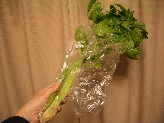 w110304-Celery1.JPG