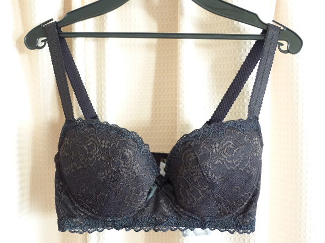 w130920-bra02.JPG