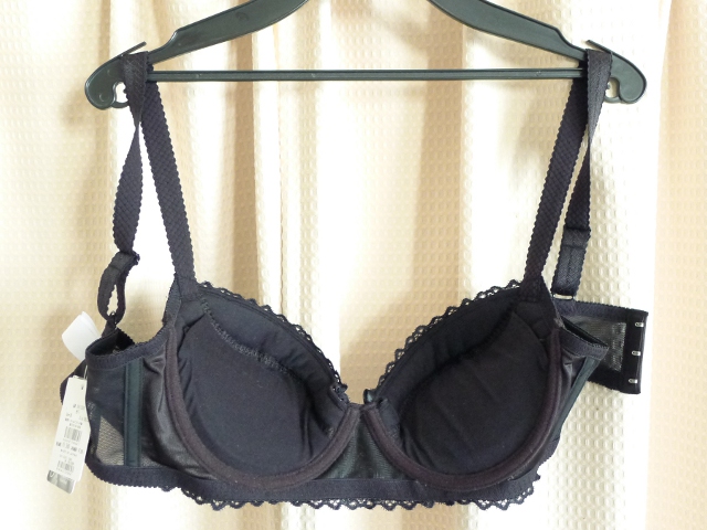 w130920-bra03.JPG